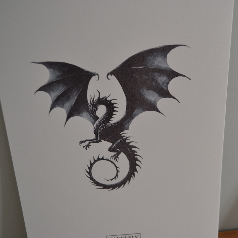 Pack Alas de Ónix (Onyx storm)| Para los fans de Alas de Sangre