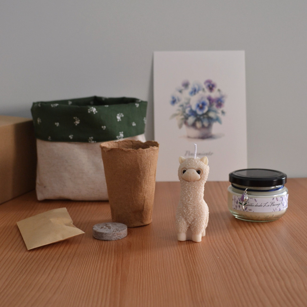 Caja mensual limitada botánica | velas, papelería, regalo, plantas, alpaca, botánica | Candlely shop
