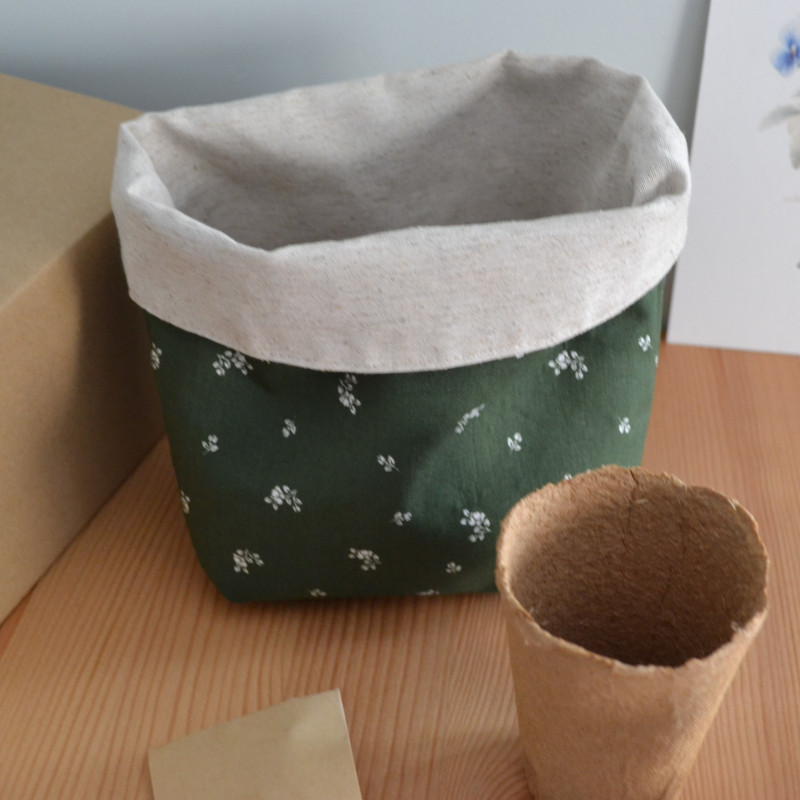 Caja mensual limitada botánica | velas, papelería, regalo, plantas, alpaca, botánica | Candlely shop