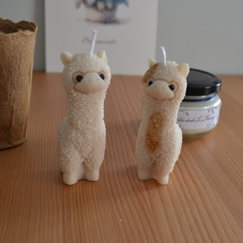 Caja mensual limitada botánica | velas, papelería, regalo, plantas, alpaca, botánica | Candlely shop